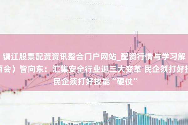 镇江股票配资资讯整合门户网站_配资行情与学习解析 （宇宙两会）皆向东：汇集安全行业迎三大变革 民企须打好技能“硬仗”