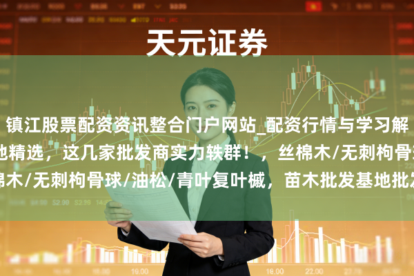 镇江股票配资资讯整合门户网站_配资行情与学习解析 2025苗木批发基地精选，这几家批发商实力轶群！，丝棉木/无刺枸骨球/油松/青叶复叶槭，苗木批发基地批发商推选分析